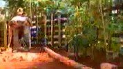 alunos de Agronomia realizam trote rural