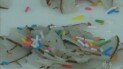 Doces