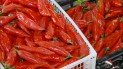 alimentos