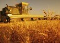 Renda das regiões produtoras agrícolas cresce o dobro da média do país