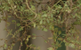 Snapshot - 5